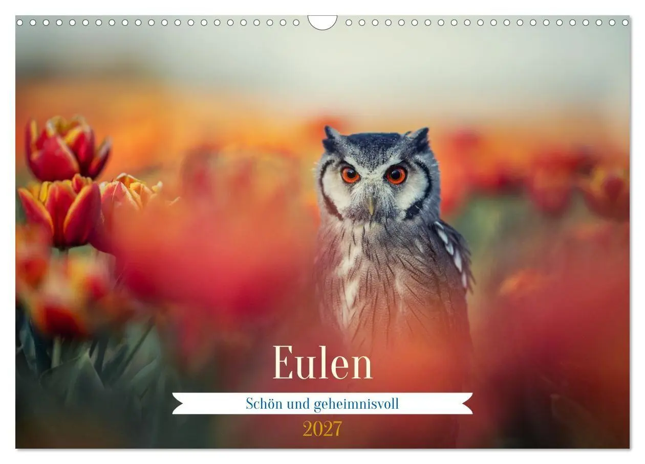 Cover: 9783516955453 | Eulen - schön und geheimnisvoll (Wandkalender 2027 DIN A3 quer),...