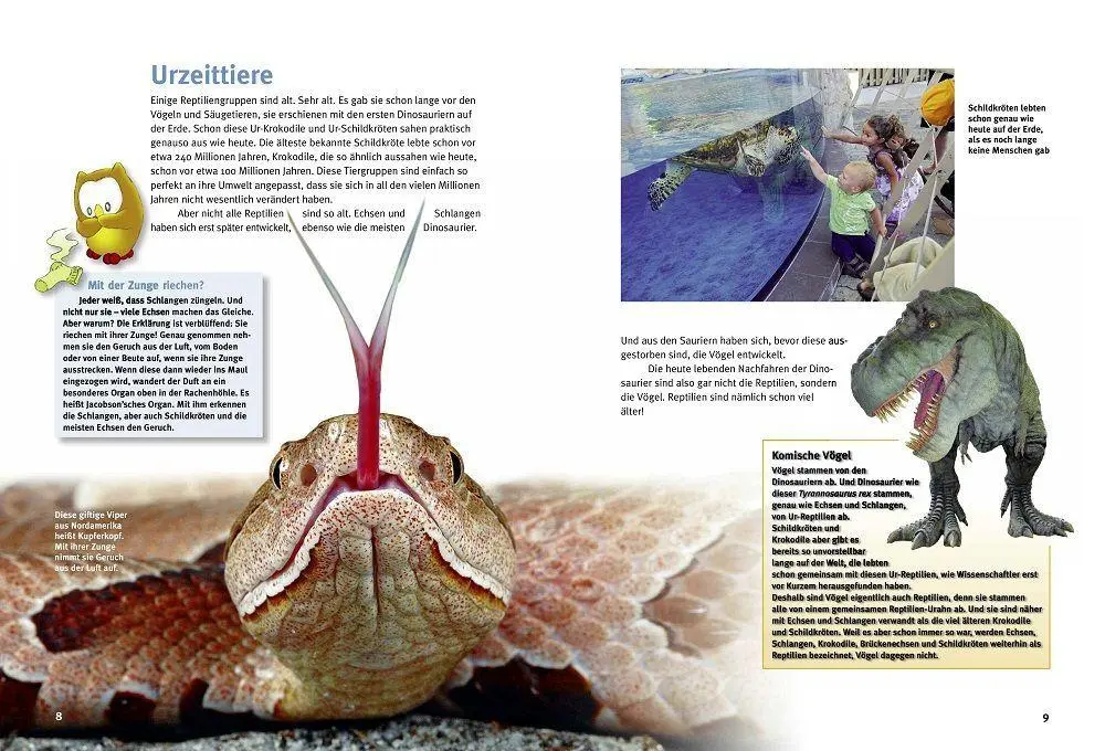 Bild: 9783866595453 | Entdecke die Reptilien | Heiko Werning | Buch | 56 S. | Deutsch | 2026