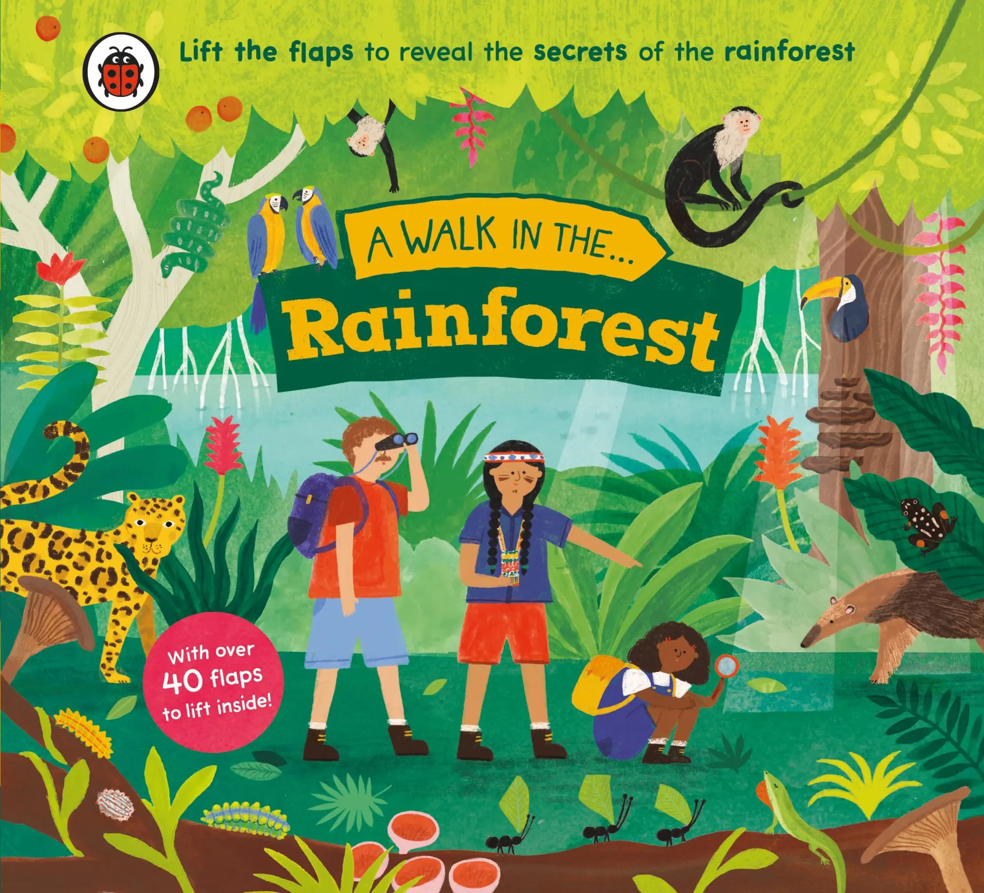 Cover: 9780241615553 | A Walk in the Rainforest | Nora Dare | Buch | A Walk in | Englisch