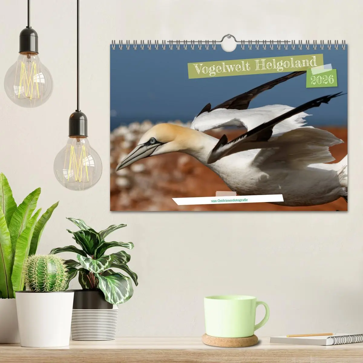 Bild: 9783457545553 | Vogelwelt Helgoland - von Ostfriesenfotografie (Wandkalender 2026...