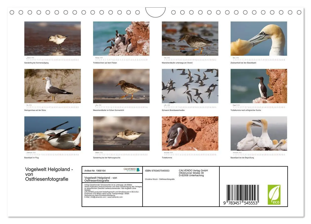 Bild: 9783457545553 | Vogelwelt Helgoland - von Ostfriesenfotografie (Wandkalender 2026...