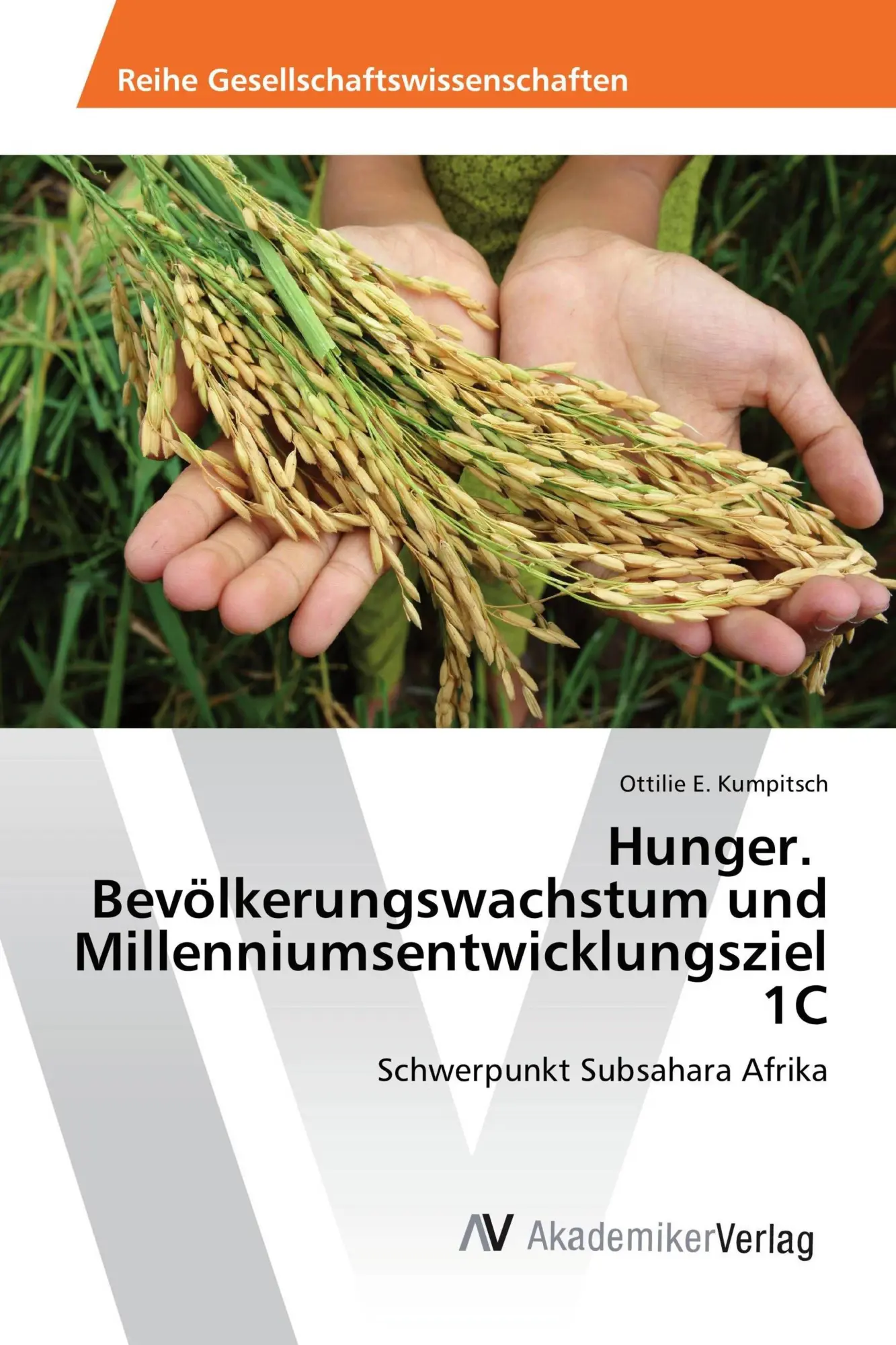 Cover: 9783639875553 | Hunger. Bevölkerungswachstum und Millenniumsentwicklungsziel 1C | Buch