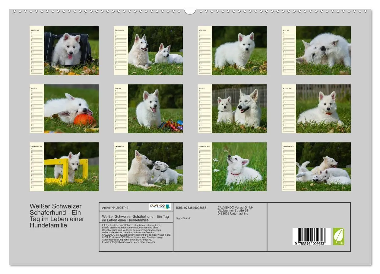 Bild: 9783516005653 | Weißer Schweizer Schäferhund - Ein Tag im Leben einer Hundefamilie...