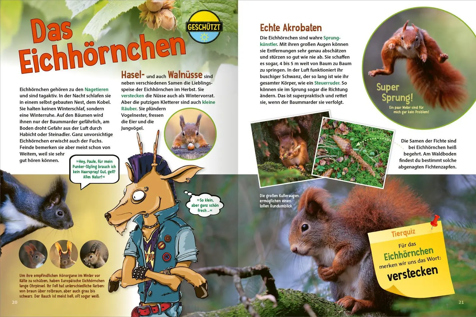 Bild: 9783845855653 | Jetzt verstehe ich die Tiere des Waldes | Roland Bock | Buch | 48 S.