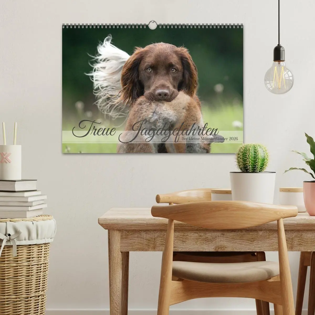 Bild: 9783457385753 | Treue Jagdgefährten Der kleine Münsterländer (Wandkalender 2026 DIN...