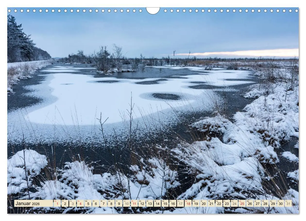 Bild: 9783457765753 | Niedersachsens Natur (Wandkalender 2026 DIN A3 quer), CALVENDO...