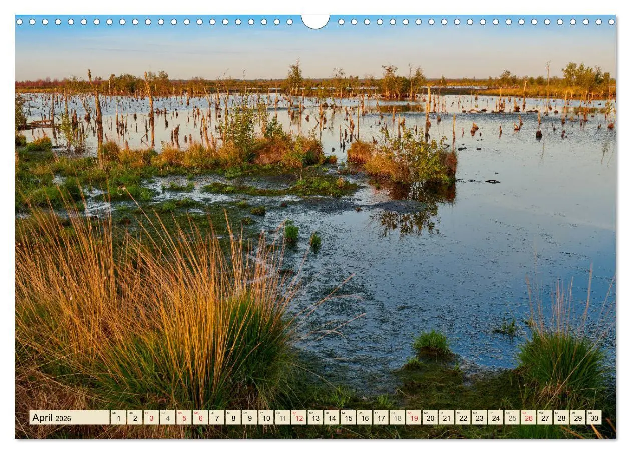 Bild: 9783457765753 | Niedersachsens Natur (Wandkalender 2026 DIN A3 quer), CALVENDO...