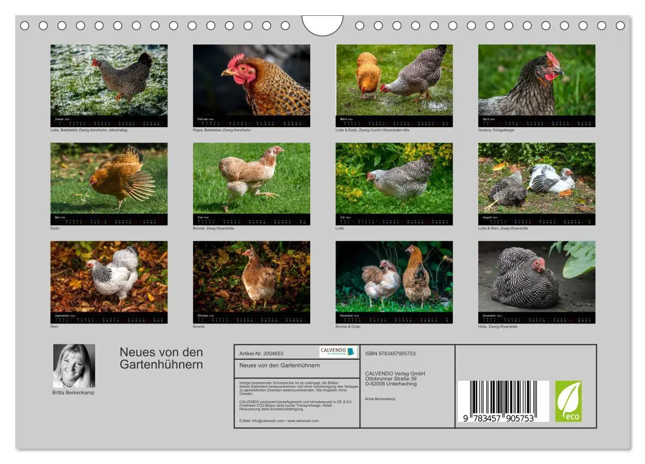Bild: 9783457905753 | Neues von den Gartenhühnern (Wandkalender 2026 DIN A4 quer),...