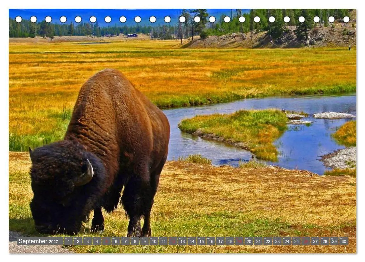 Bild: 9783594145753 | Wyoming ¿ Impressionen (Tischkalender 2027 DIN A5 quer), CALVENDO...