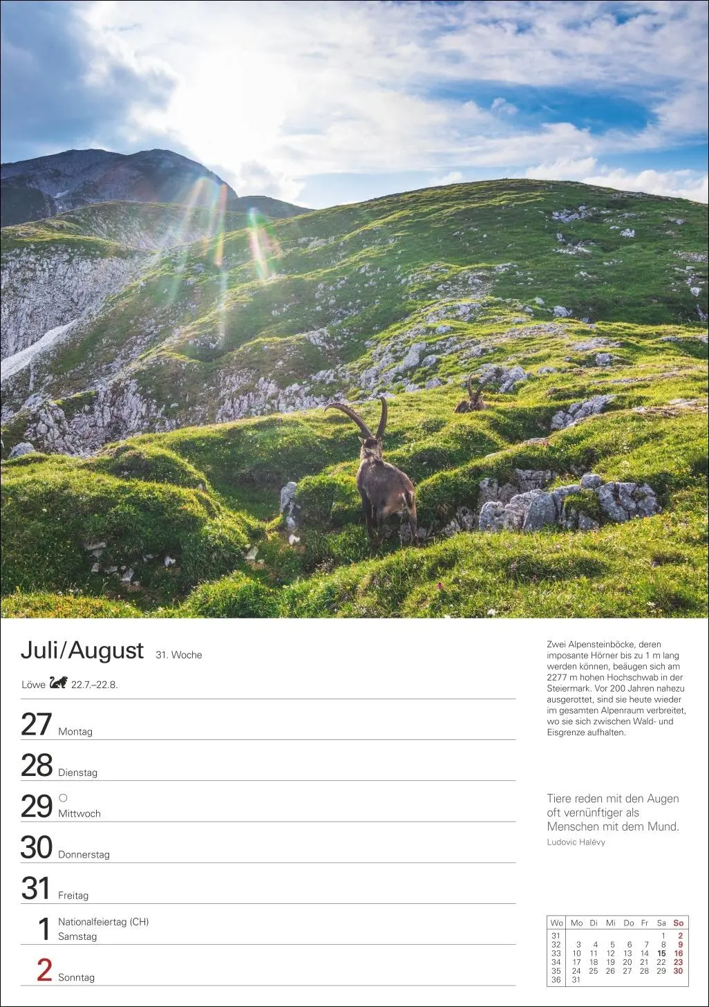 Bild: 9783840035753 | Berge Wochenplaner 2026 - 53 faszinierende Fotografien | Ulrike Issel