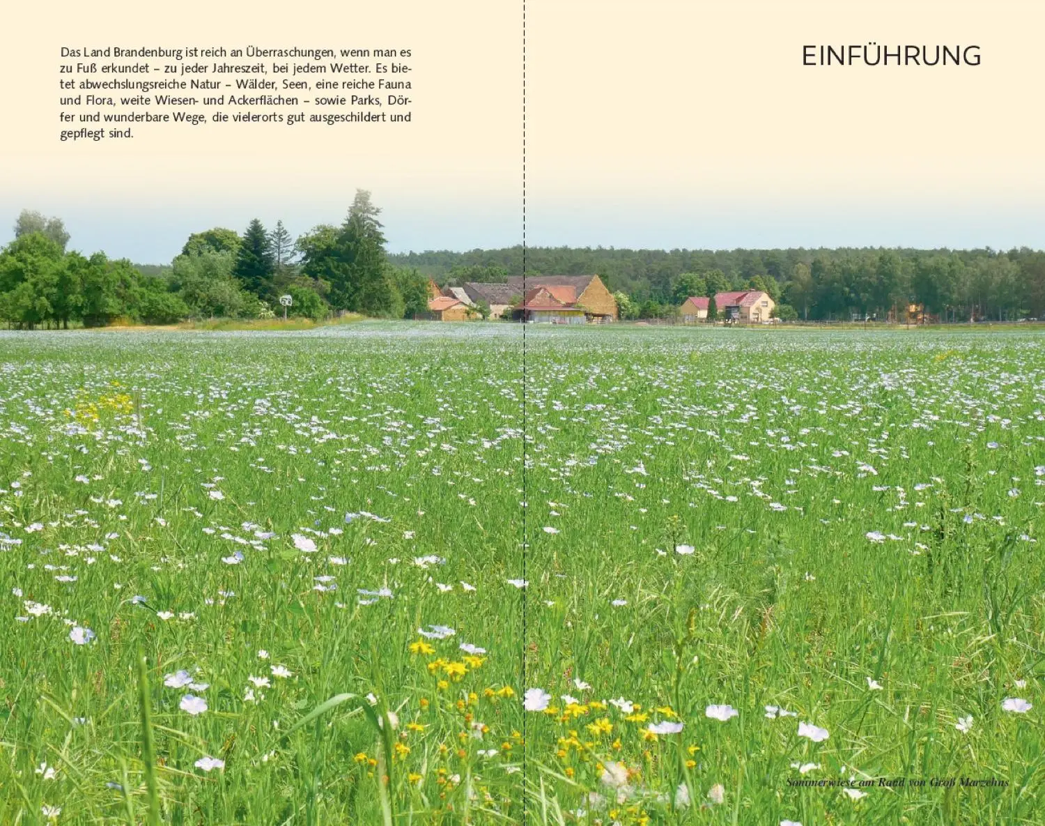 Bild: 9783897945753 | Reiseführer Brandenburg - Tagestouren | Andreas Sternfeldt (u. a.)