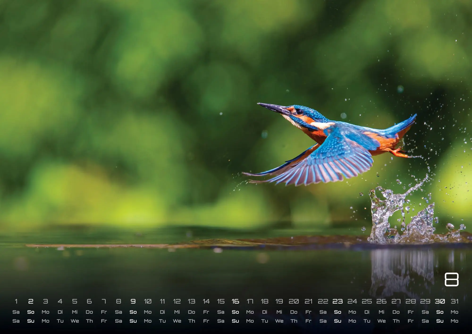 Bild: 9783986735753 | Moments - wundervolle Momentaufnahmen - 2026 - Kalender DIN A2 | de