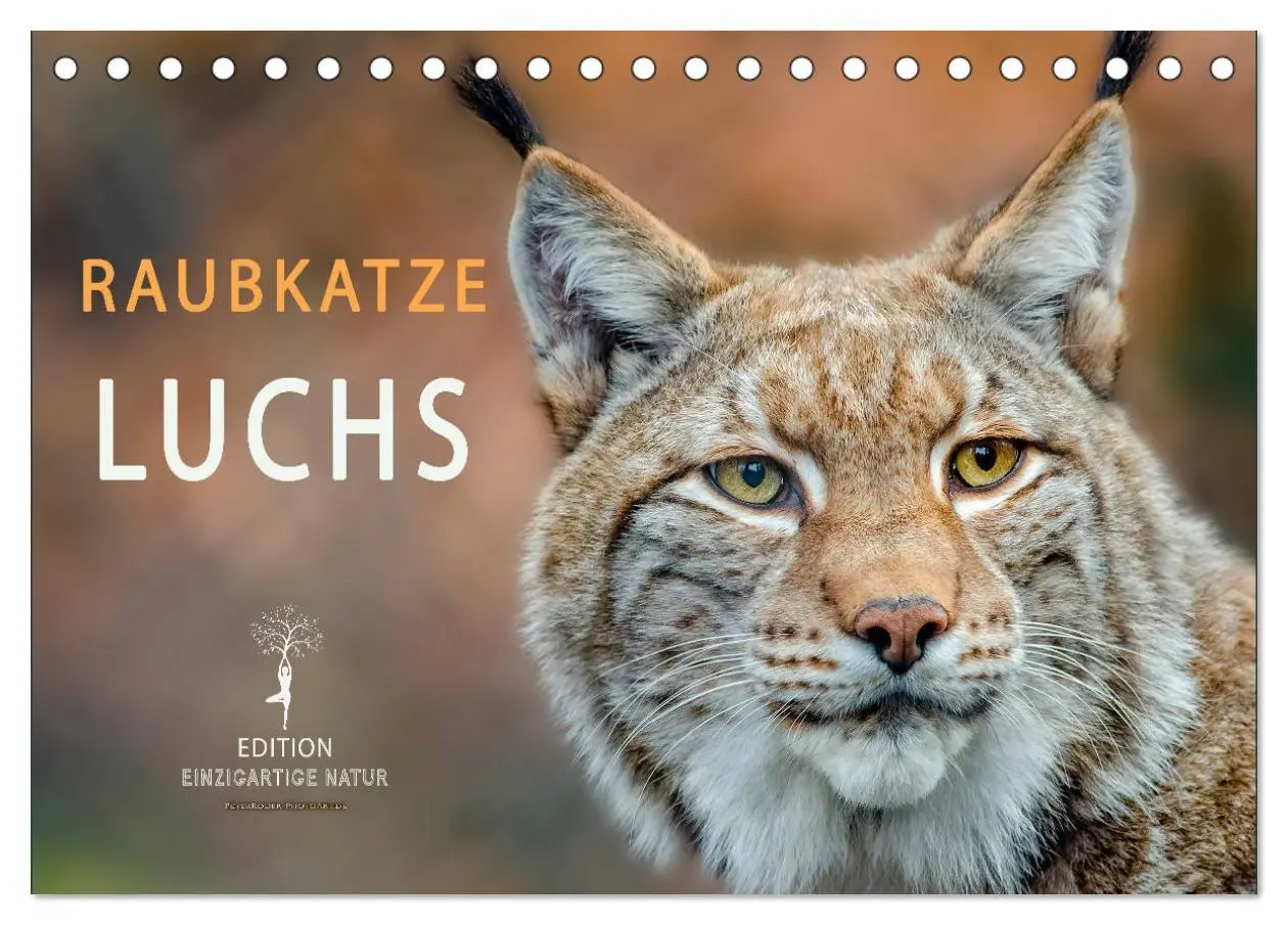 Cover: 9783457685853 | Raubkatze Luchs (Tischkalender 2026 DIN A5 quer), CALVENDO...