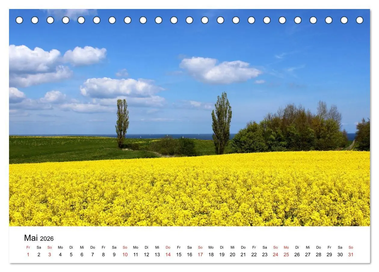 Bild: 9783516085853 | Ostseeküste 2026 (Tischkalender 2026 DIN A5 quer), CALVENDO...