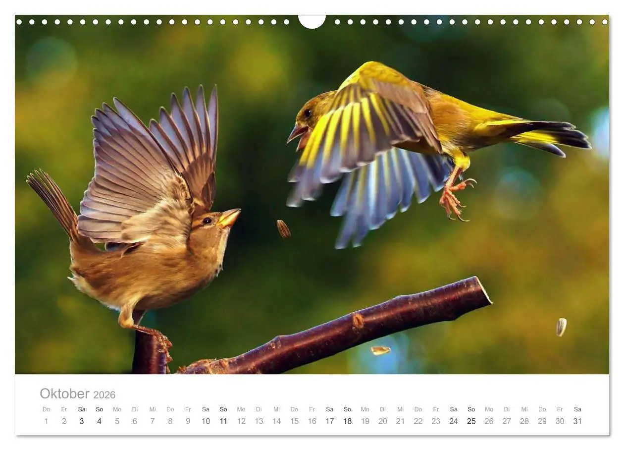 Bild: 9783516155853 | Vögel in unseren Gärten 2026 (Wandkalender 2026 DIN A3 quer),...