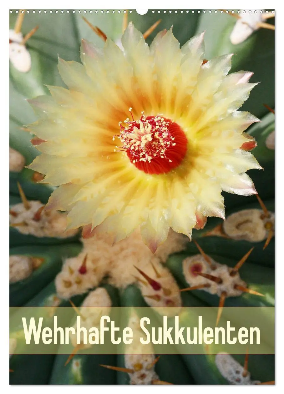 Cover: 9783516395853 | Wehrhafte Sukkulenten (Wandkalender 2026 DIN A2 hoch), CALVENDO...