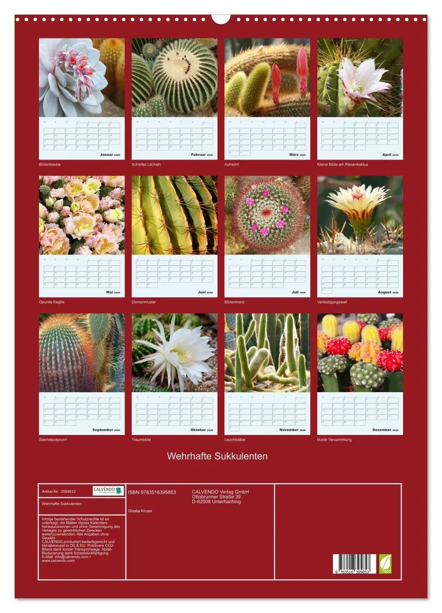 Bild: 9783516395853 | Wehrhafte Sukkulenten (Wandkalender 2026 DIN A2 hoch), CALVENDO...