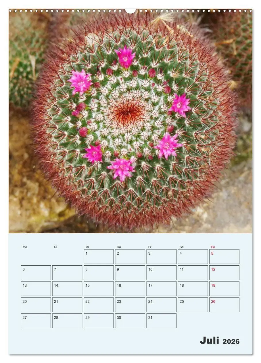 Bild: 9783516395853 | Wehrhafte Sukkulenten (Wandkalender 2026 DIN A2 hoch), CALVENDO...