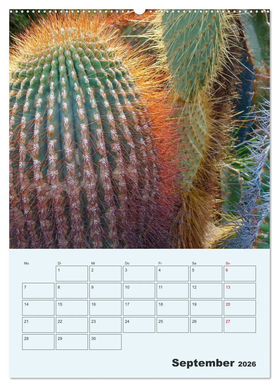 Bild: 9783516395853 | Wehrhafte Sukkulenten (Wandkalender 2026 DIN A2 hoch), CALVENDO...