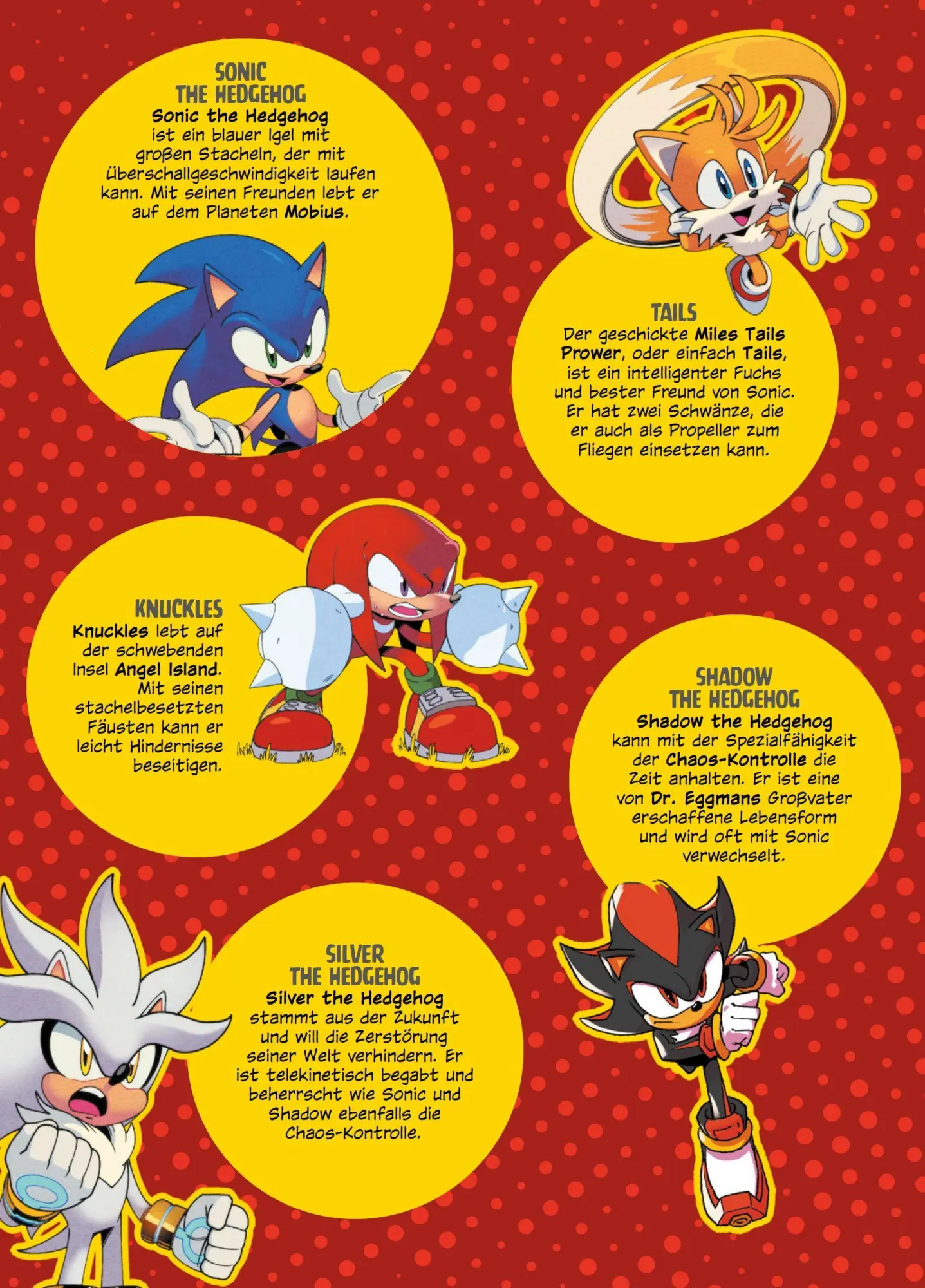 Bild: 9783741645853 | DC x Sonic The Hedgehog | Bd. 1 (von 2) | Ian Flynn (u. a.) | Buch