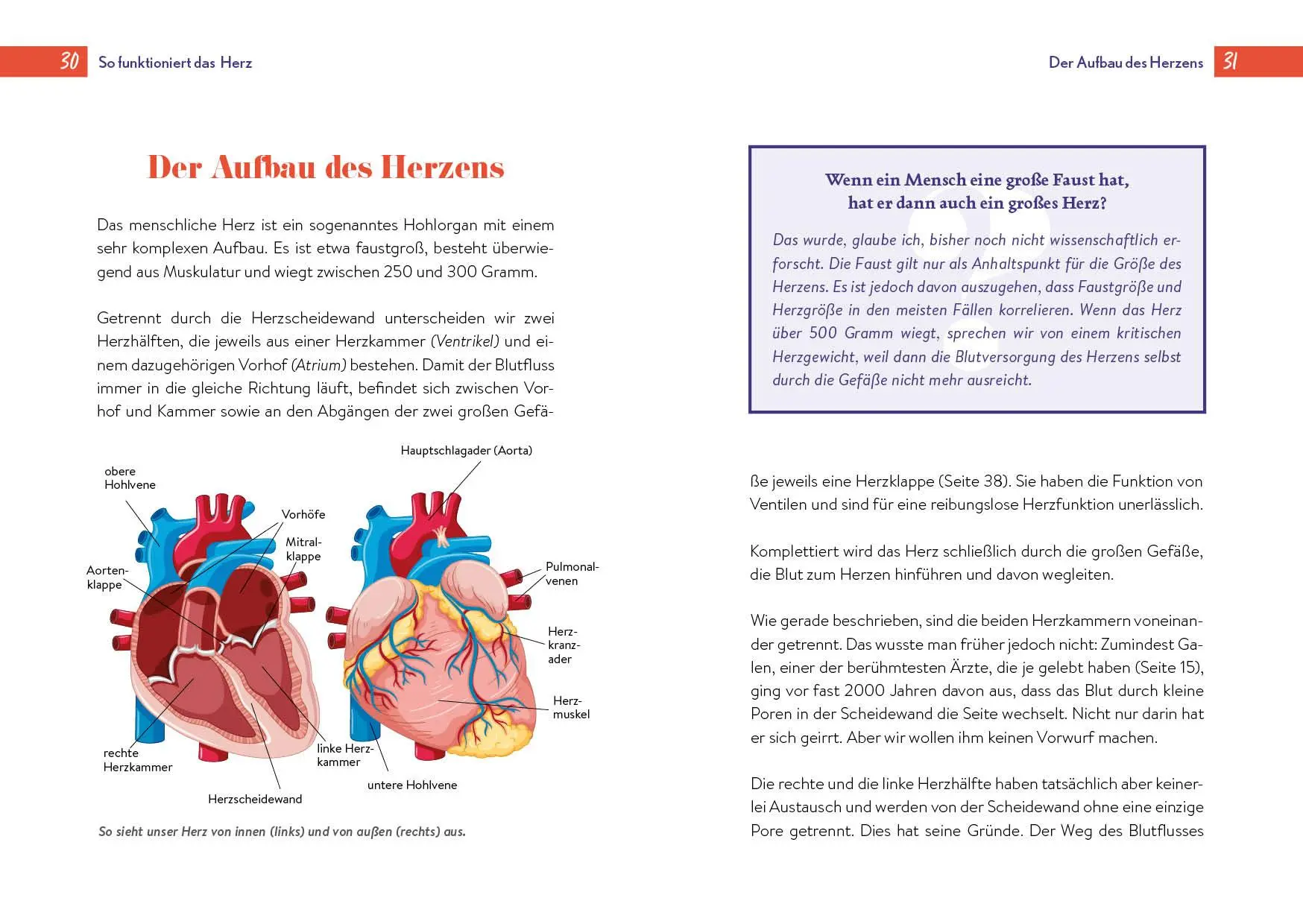 Bild: 9783742325853 | Gesundheit ist Herzenssache | Markus Knapp | Taschenbuch | 224 S.