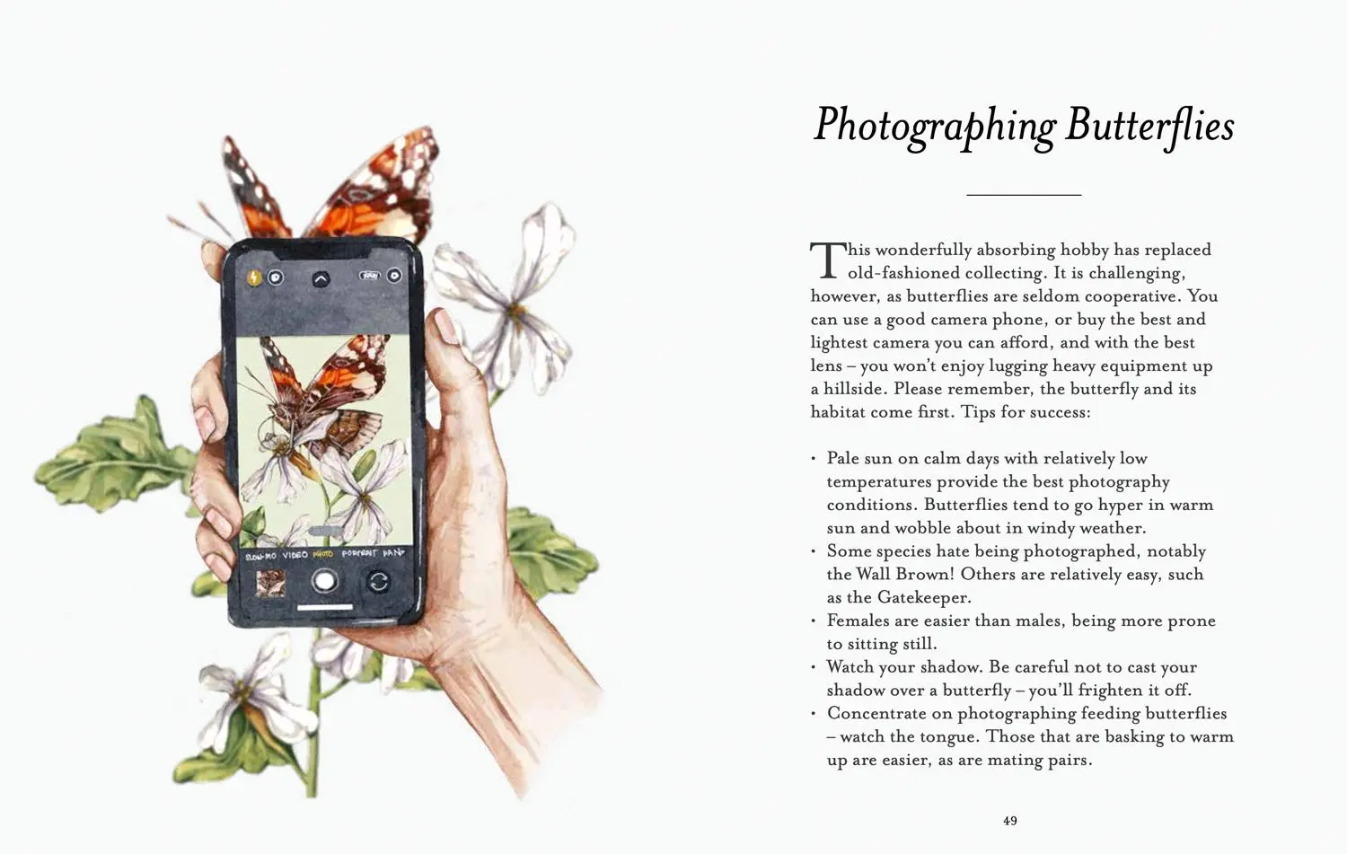 Bild: 9780008715953 | The Butterfly Spotter's Guide | Matthew Oates | Buch | National Trust