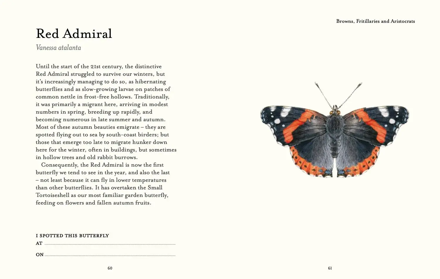 Bild: 9780008715953 | The Butterfly Spotter's Guide | Matthew Oates | Buch | National Trust