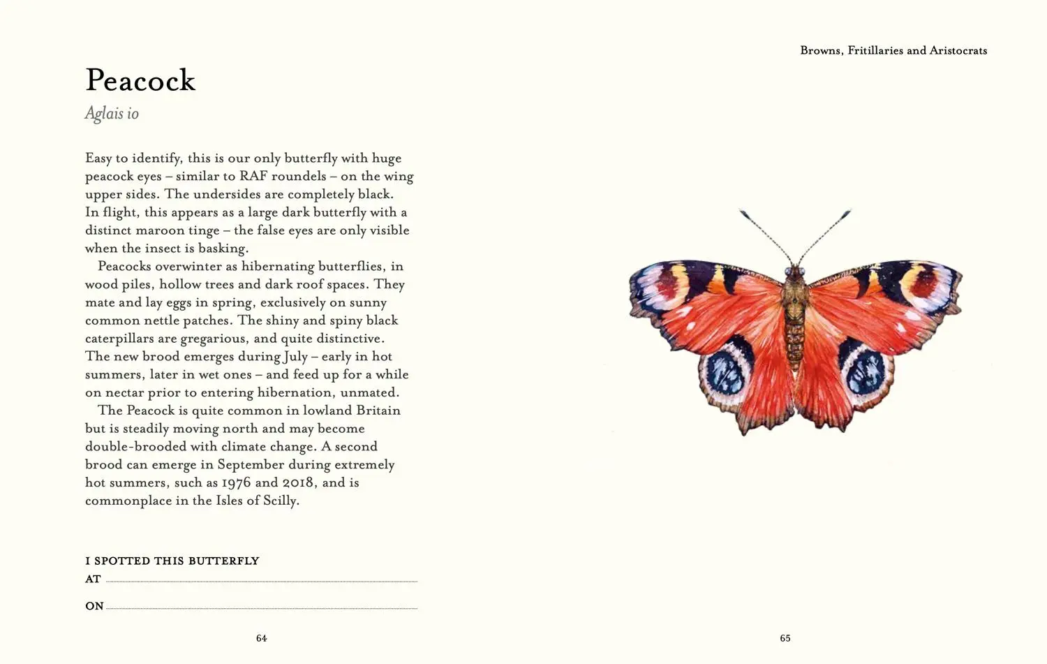 Bild: 9780008715953 | The Butterfly Spotter's Guide | Matthew Oates | Buch | National Trust