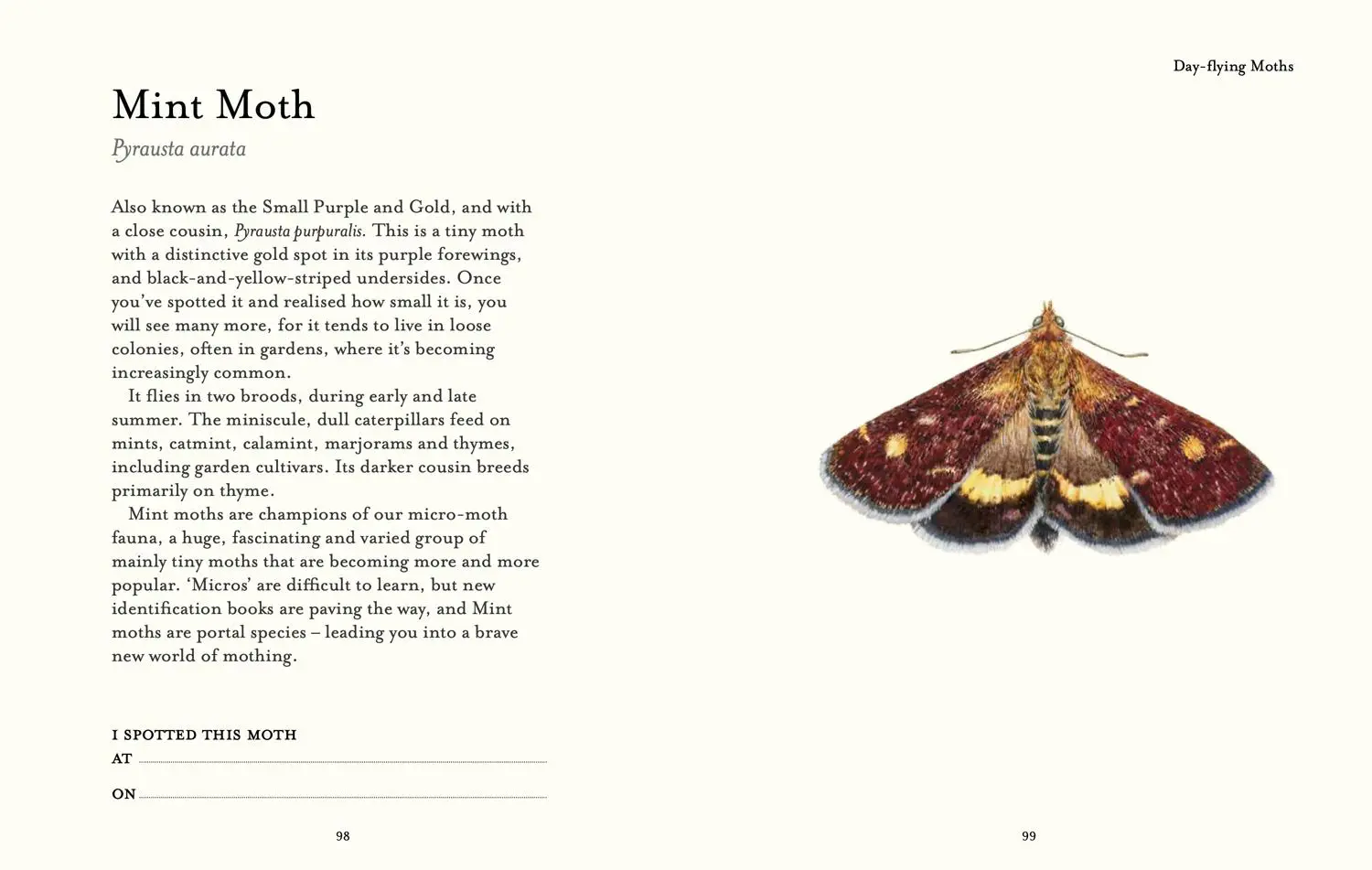 Bild: 9780008715953 | The Butterfly Spotter's Guide | Matthew Oates | Buch | National Trust