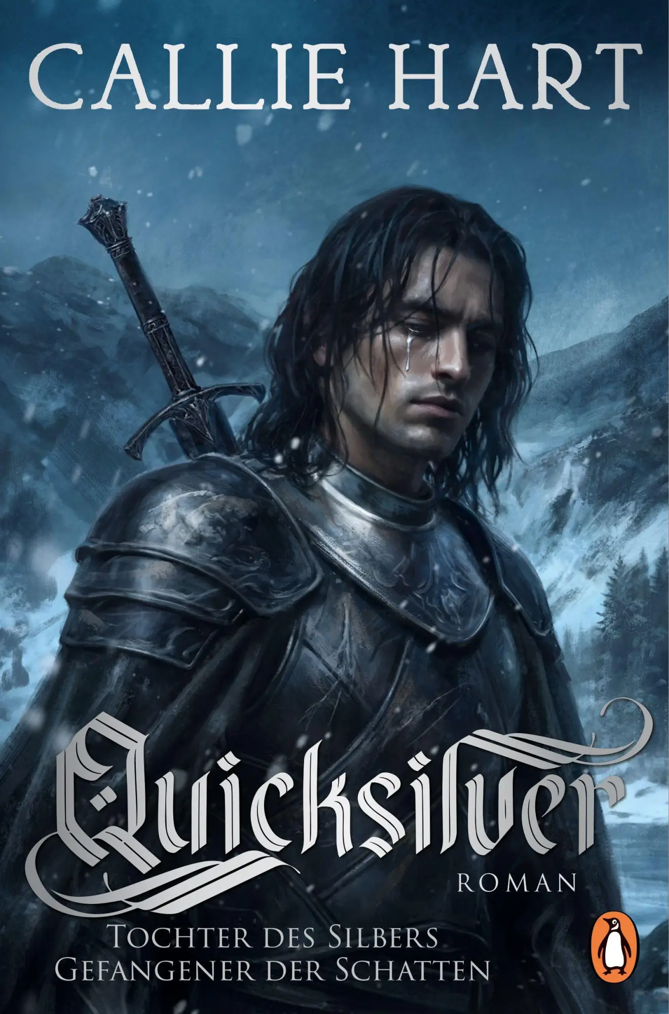Quicksilver - Tochter des Silbers. Gefangener der Schatten - Neuware