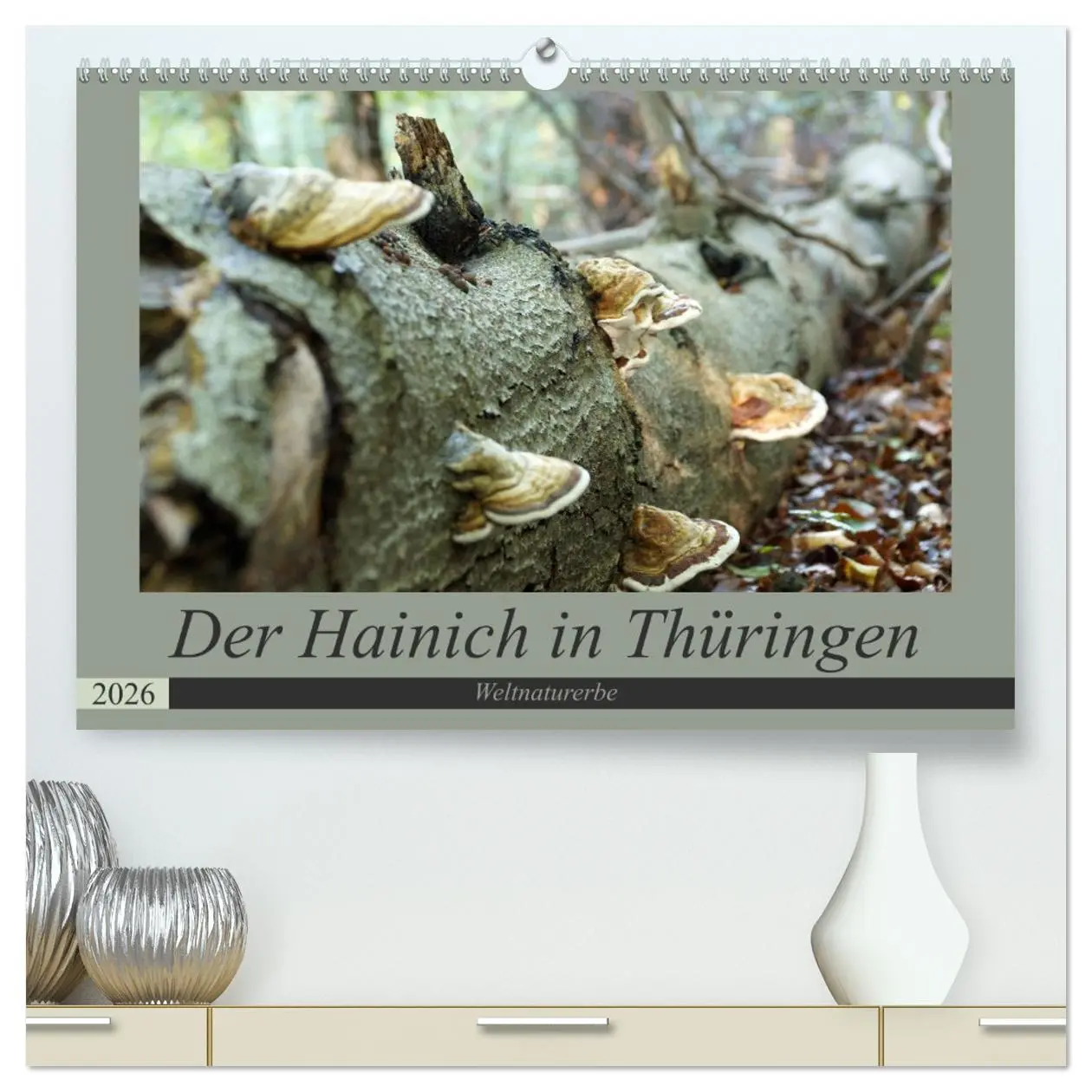 Cover: 9783457745953 | Der Hainich in Thüringen - Weltnaturerbe (hochwertiger Premium...