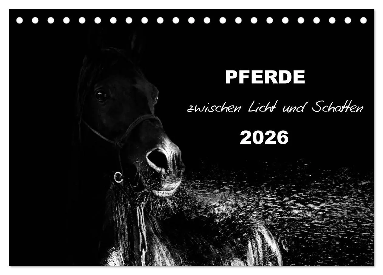Cover: 9783516075953 | Pferde zwischen Licht und Schatten (Tischkalender 2026 DIN A5...