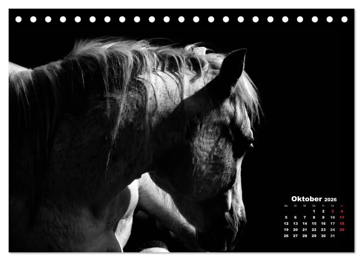 Bild: 9783516075953 | Pferde zwischen Licht und Schatten (Tischkalender 2026 DIN A5...