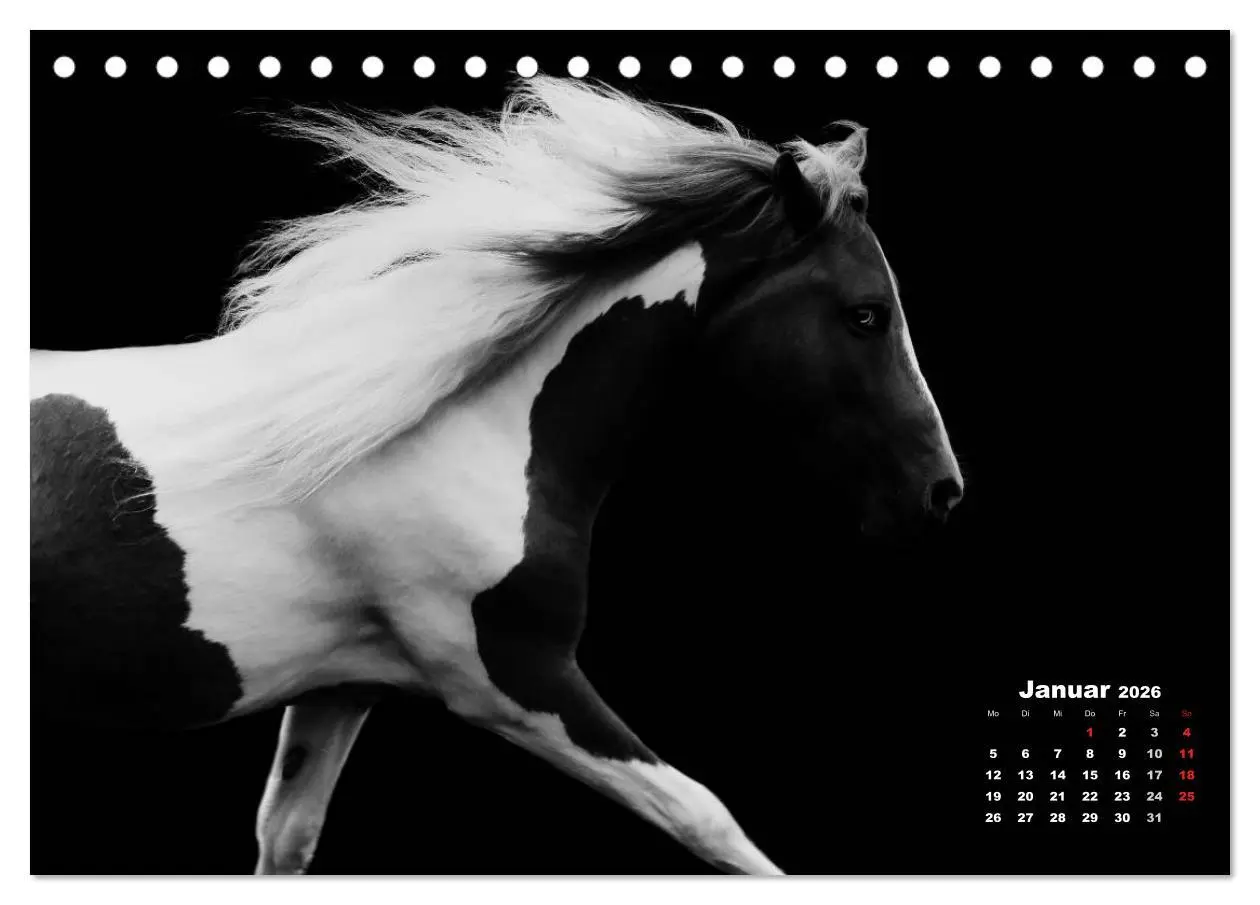 Bild: 9783516075953 | Pferde zwischen Licht und Schatten (Tischkalender 2026 DIN A5...