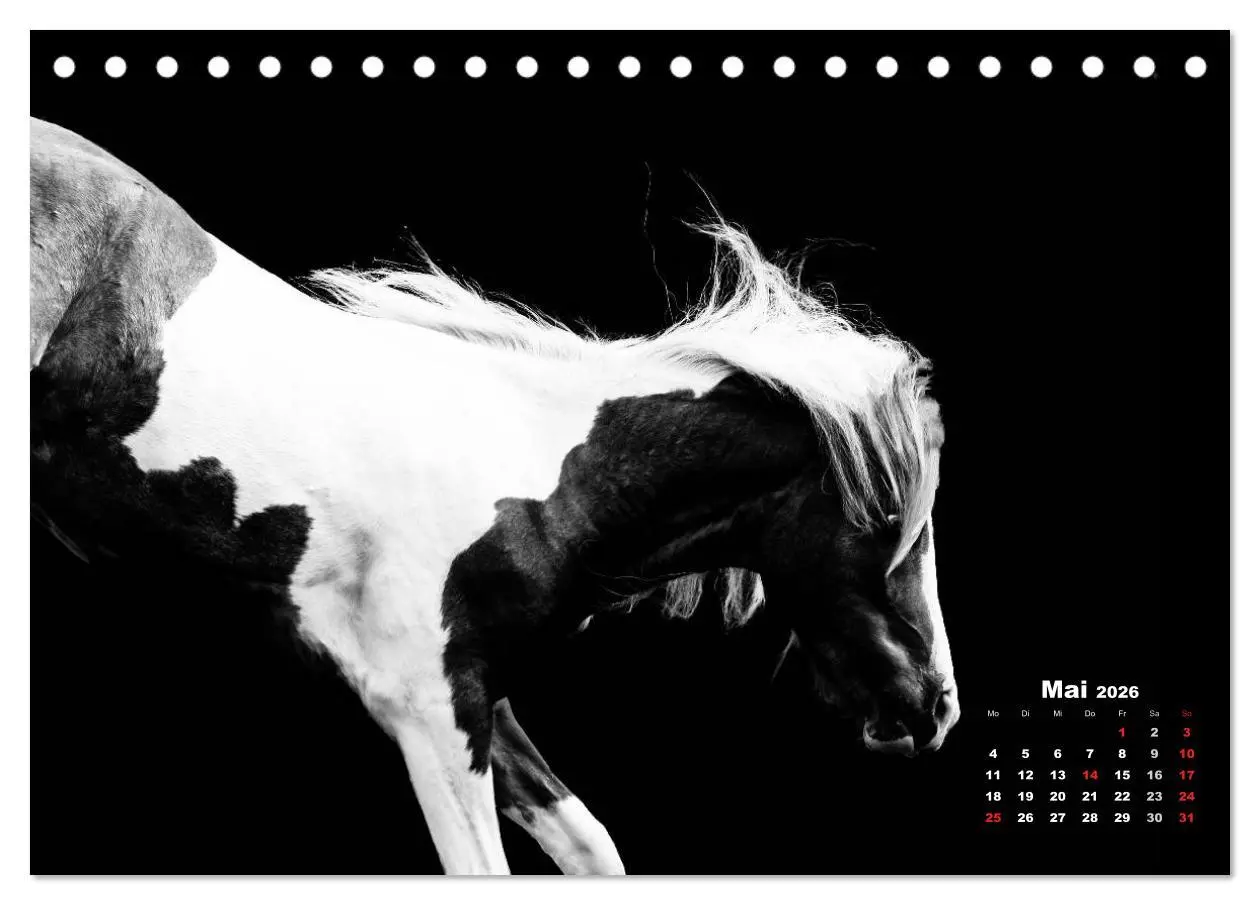 Bild: 9783516075953 | Pferde zwischen Licht und Schatten (Tischkalender 2026 DIN A5...