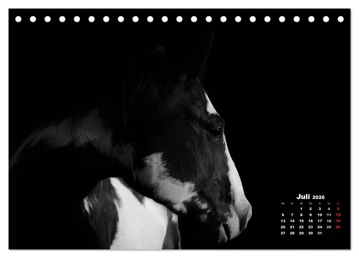 Bild: 9783516075953 | Pferde zwischen Licht und Schatten (Tischkalender 2026 DIN A5...