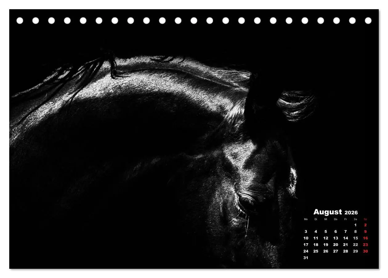 Bild: 9783516075953 | Pferde zwischen Licht und Schatten (Tischkalender 2026 DIN A5...
