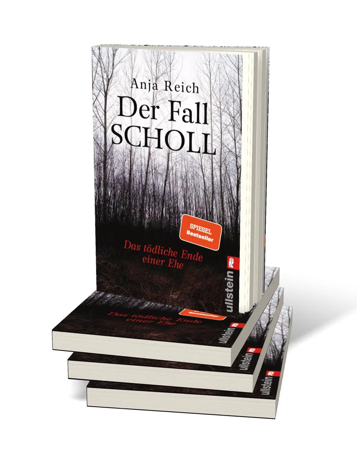 Bild: 9783548375953 | Der Fall Scholl | Das tödliche Ende einer Ehe | Anja Reich | Buch