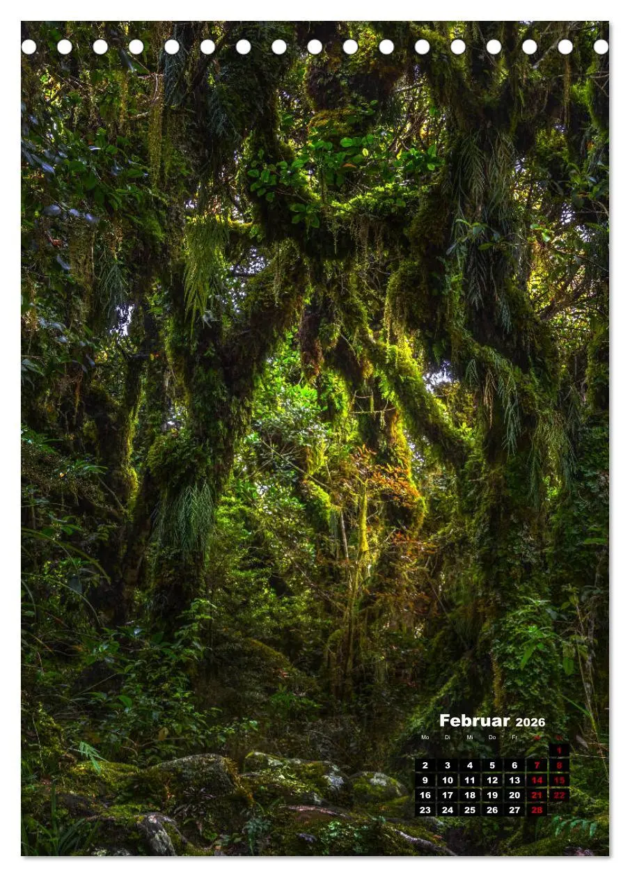 Bild: 9783516416053 | Neuseeland, Inseln der Träume (Tischkalender 2026 DIN A5 hoch),...