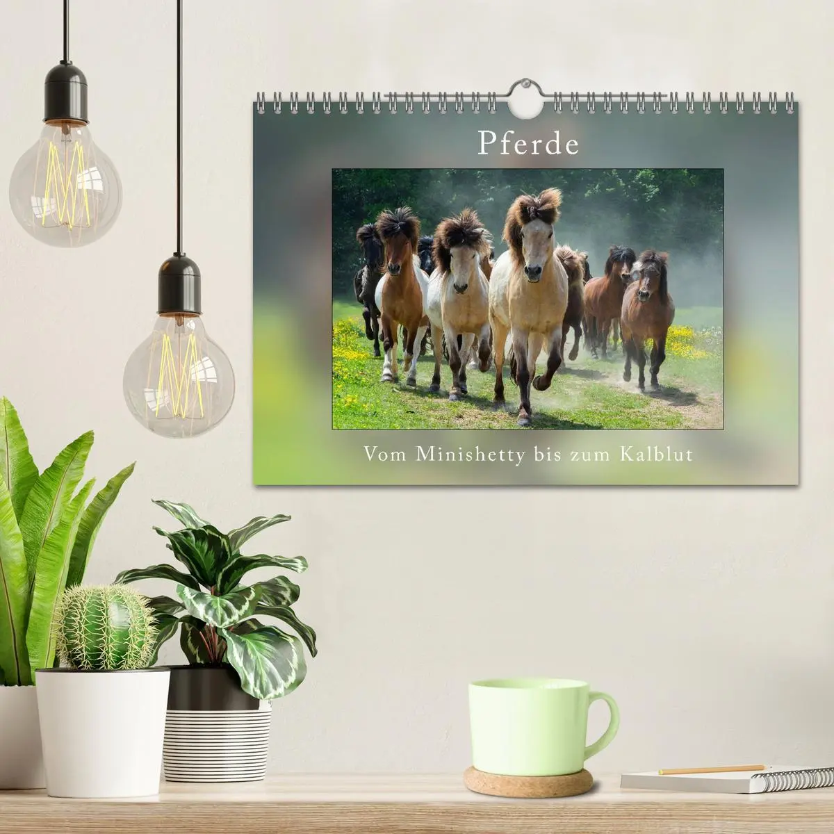 Bild: 9783516026153 | Pferde Vom Minishetty bis zum Kaltblut (Wandkalender 2026 DIN A4...