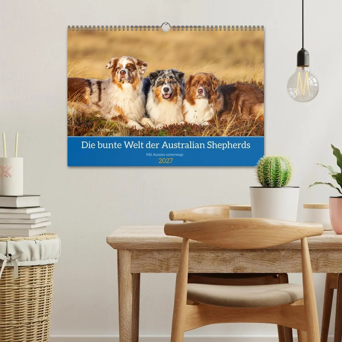 Bild: 9783594176153 | Mit Aussies unterwegs - Die bunte Welt der Australian Shepherds...