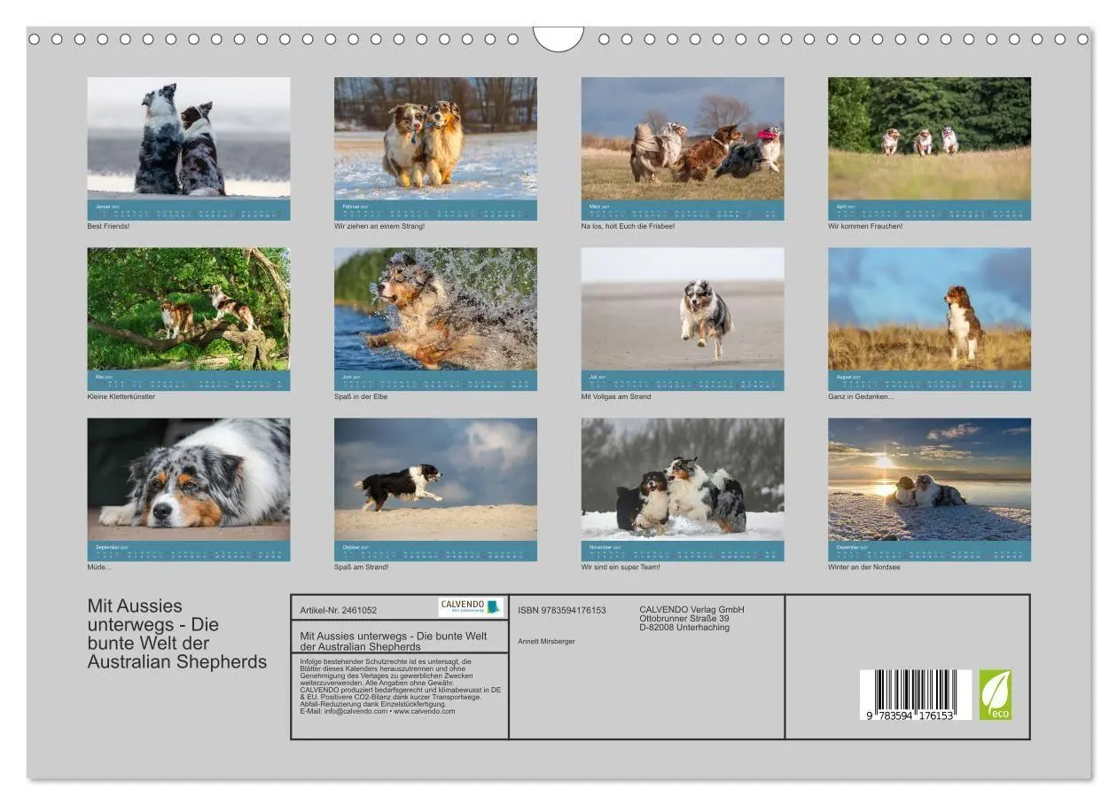 Bild: 9783594176153 | Mit Aussies unterwegs - Die bunte Welt der Australian Shepherds...