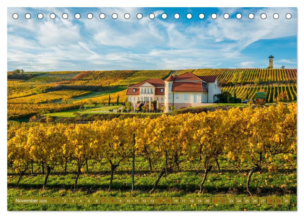 Bild: 9783457546253 | Weinberg-Architektur in Rheinhessen (Tischkalender 2026 DIN A5...