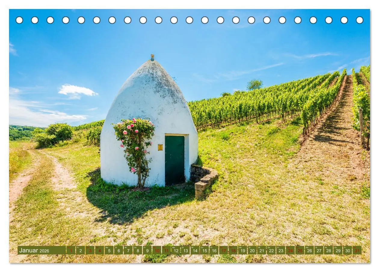 Bild: 9783457546253 | Weinberg-Architektur in Rheinhessen (Tischkalender 2026 DIN A5...