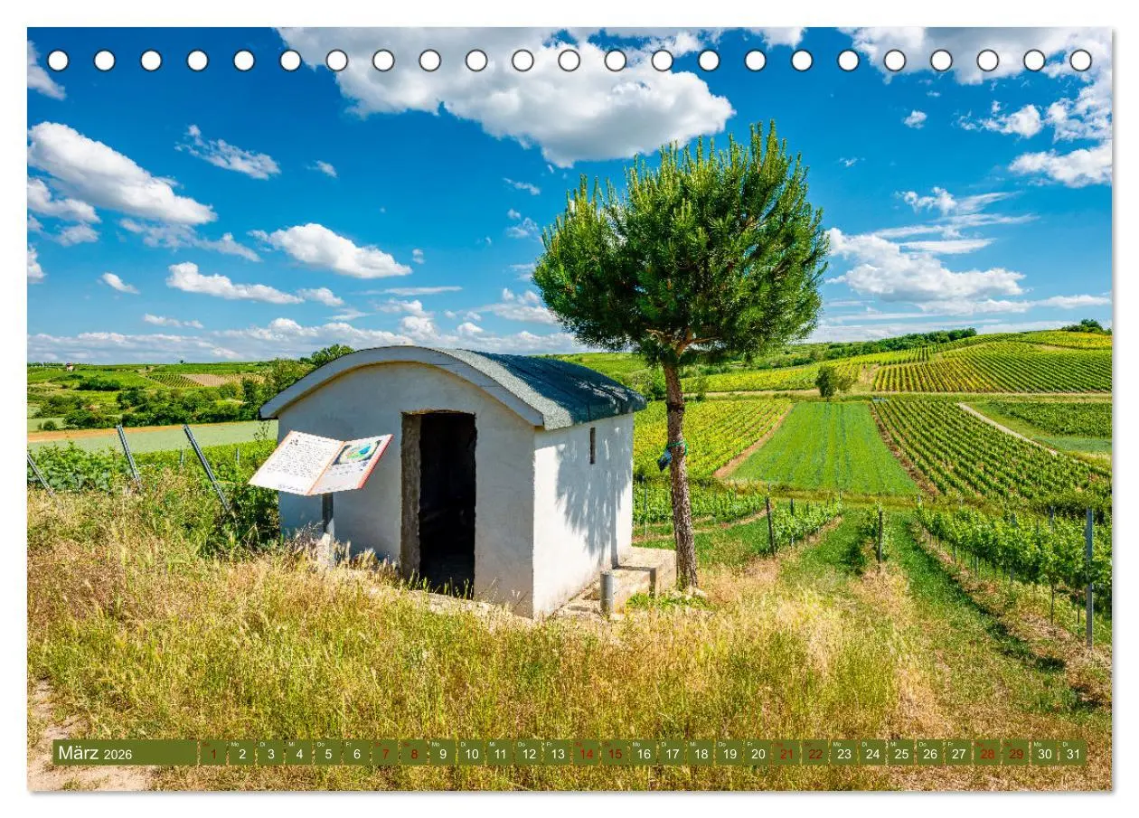 Bild: 9783457546253 | Weinberg-Architektur in Rheinhessen (Tischkalender 2026 DIN A5...