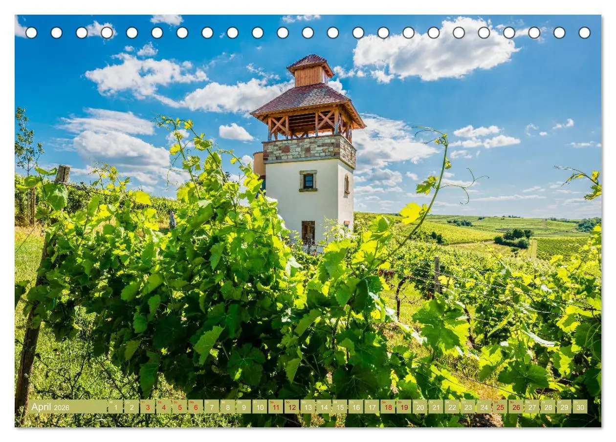 Bild: 9783457546253 | Weinberg-Architektur in Rheinhessen (Tischkalender 2026 DIN A5...
