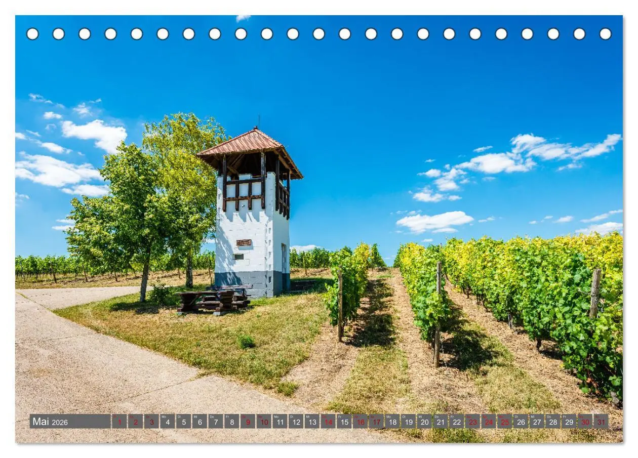 Bild: 9783457546253 | Weinberg-Architektur in Rheinhessen (Tischkalender 2026 DIN A5...
