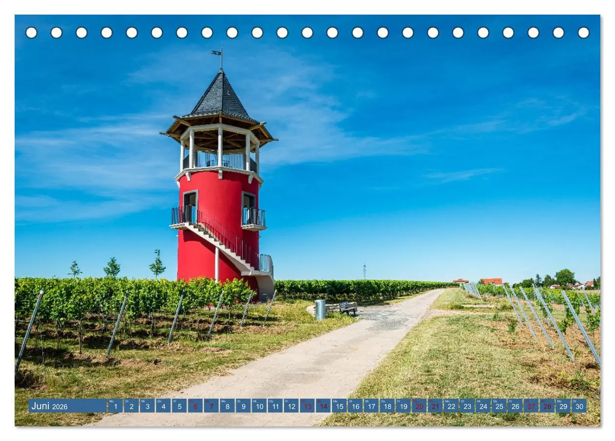 Bild: 9783457546253 | Weinberg-Architektur in Rheinhessen (Tischkalender 2026 DIN A5...