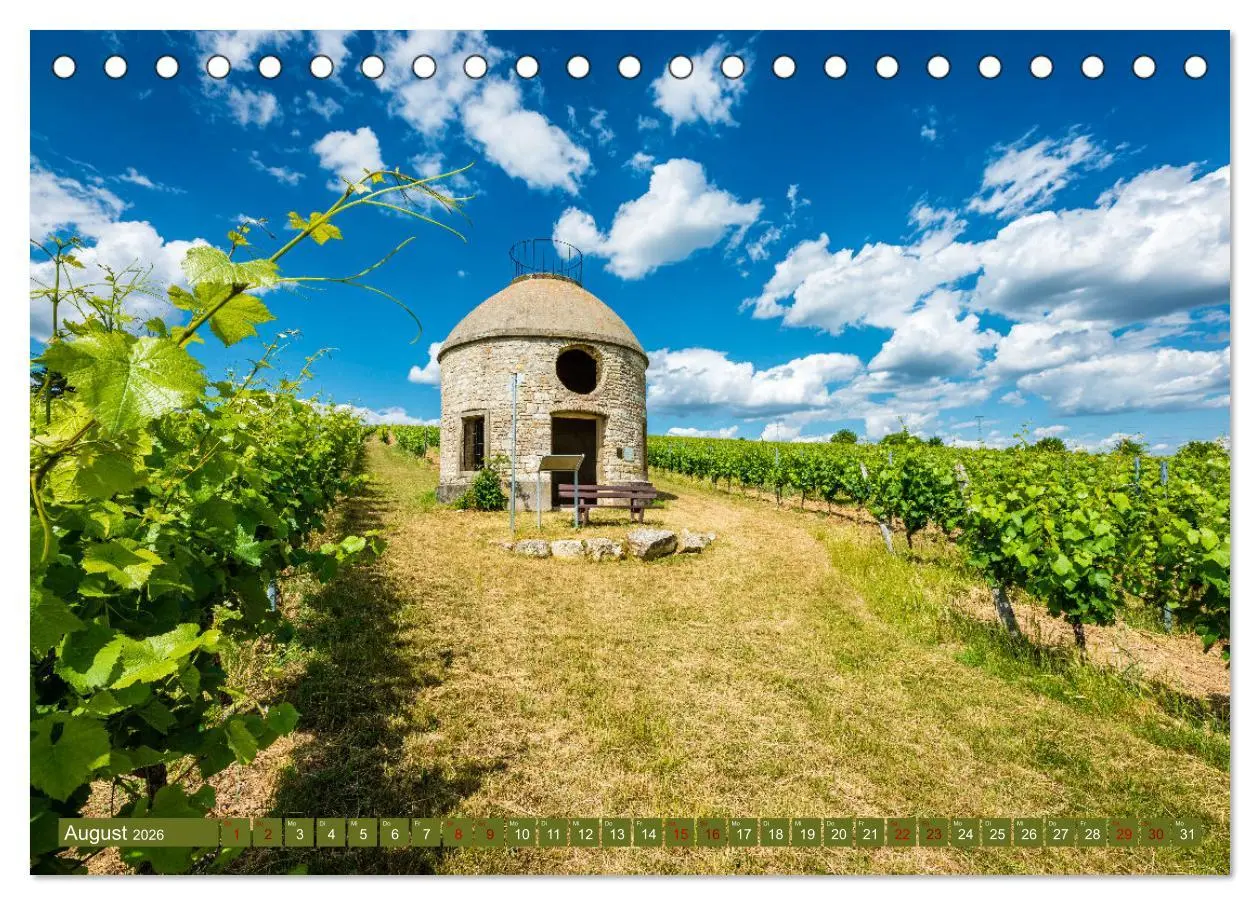 Bild: 9783457546253 | Weinberg-Architektur in Rheinhessen (Tischkalender 2026 DIN A5...