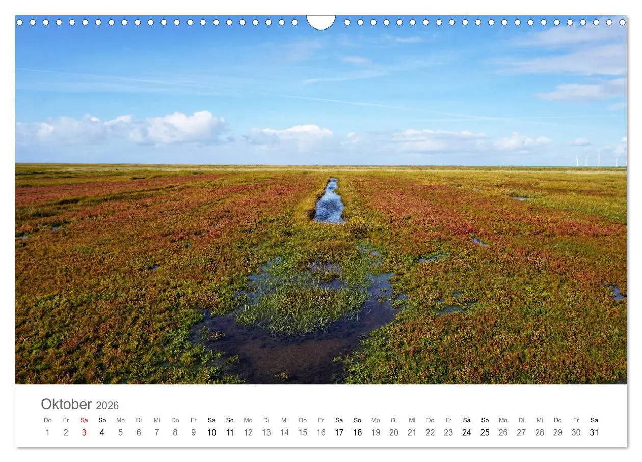Bild: 9783457786253 | Nordfriesland (Wandkalender 2026 DIN A3 quer), CALVENDO Monatskalender